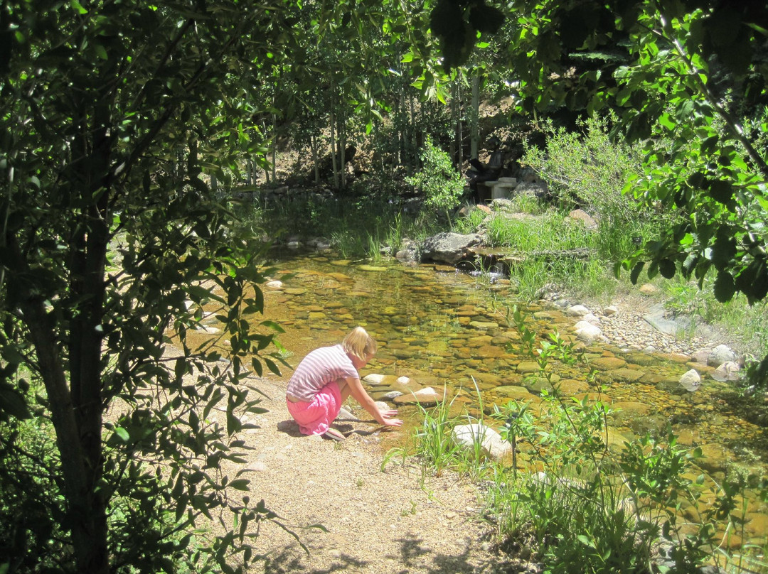 Mrs. Walsh's Garden-埃斯蒂斯公园必去景点