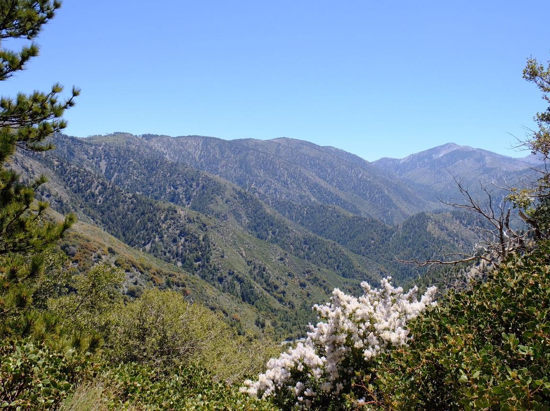 天使之冠高速公路-洛杉矶必去景点