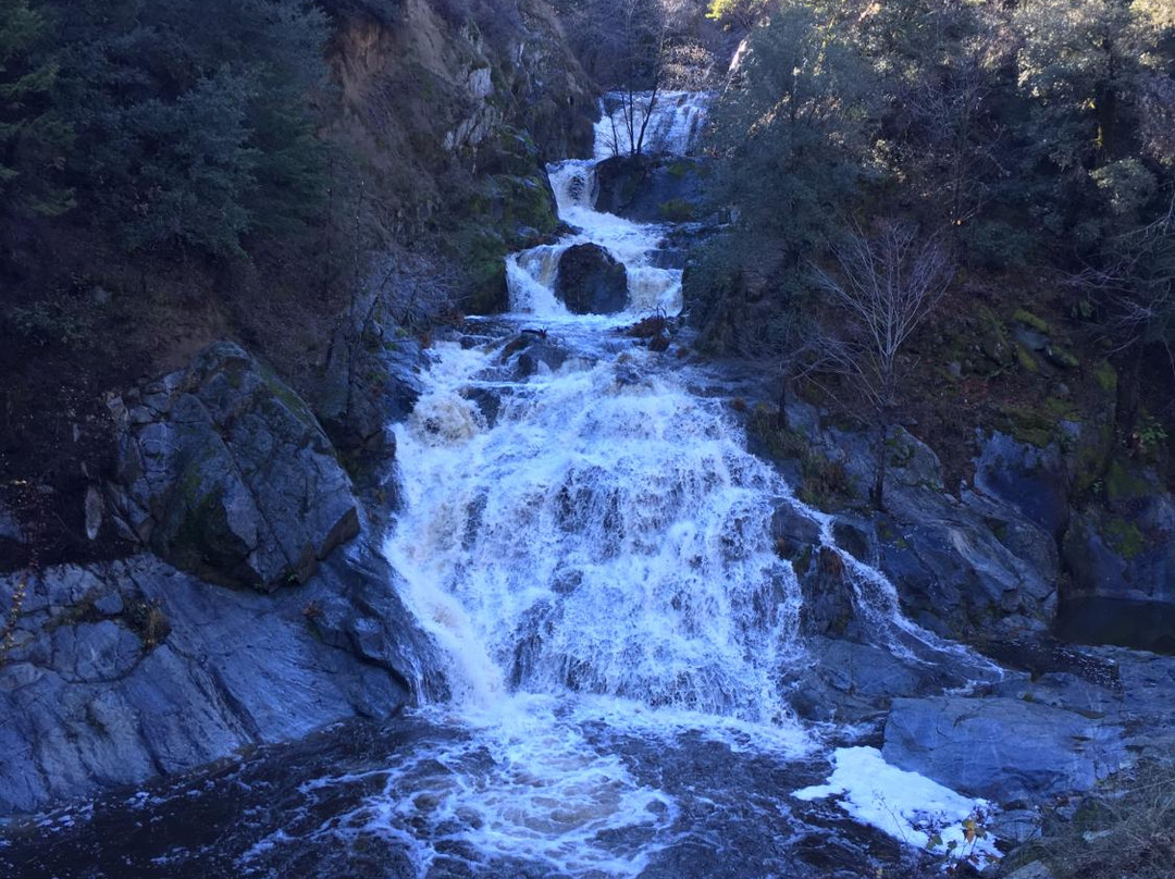 Junction City旅游景点-Crystal Creek Falls