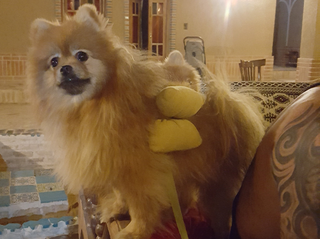 Birahe Guesthouse主图