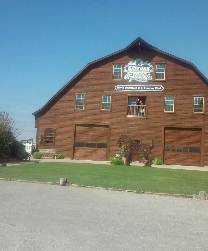 Express Clydesdales-育空必去景点