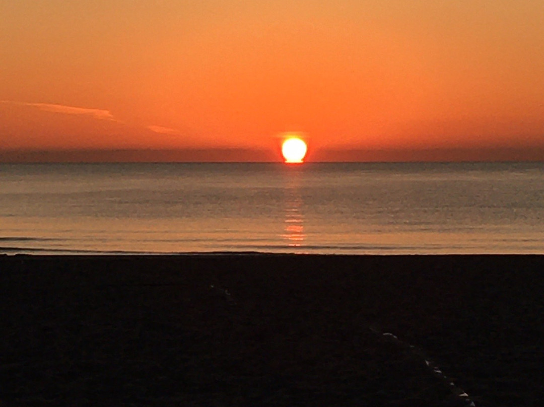Playa De Perros Campello-El Campello必去景点