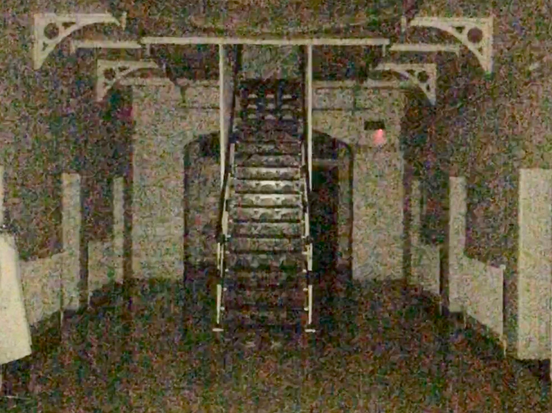 Lantern Ghost Tours, J Ward Lunatic Asylum景点图片