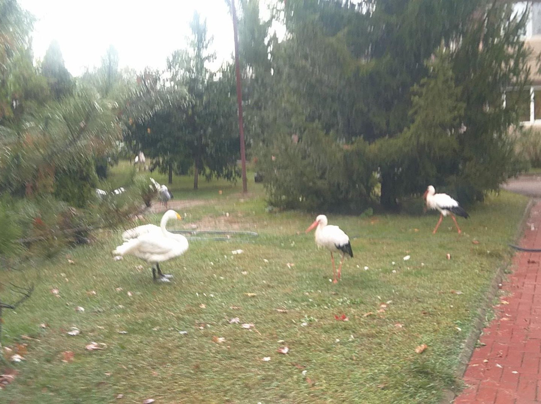 Canakcilar Hayvanat Bahcesi ve Botanik Park景点图片