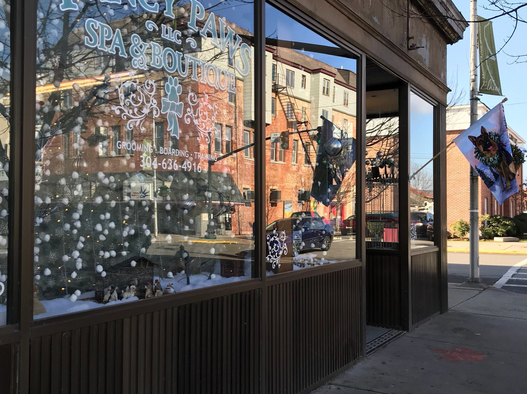 Bowden旅游景点-Fancy Paws