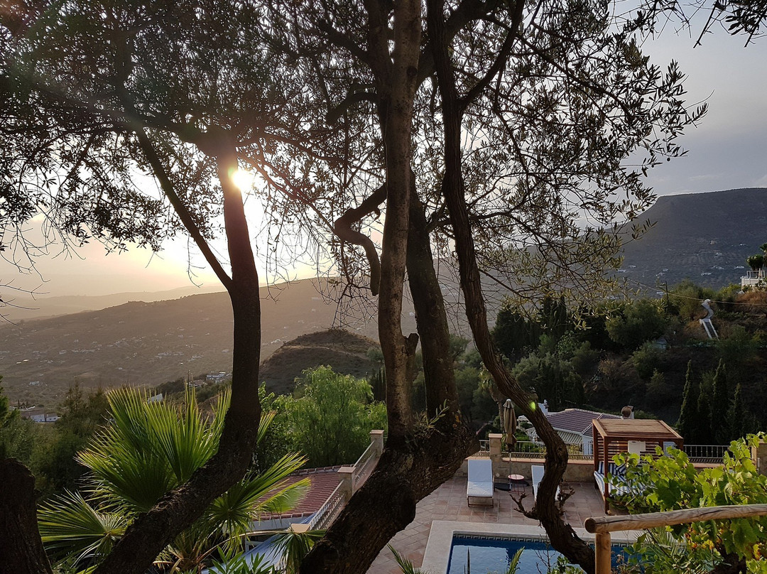 El Nispero Dulce主图