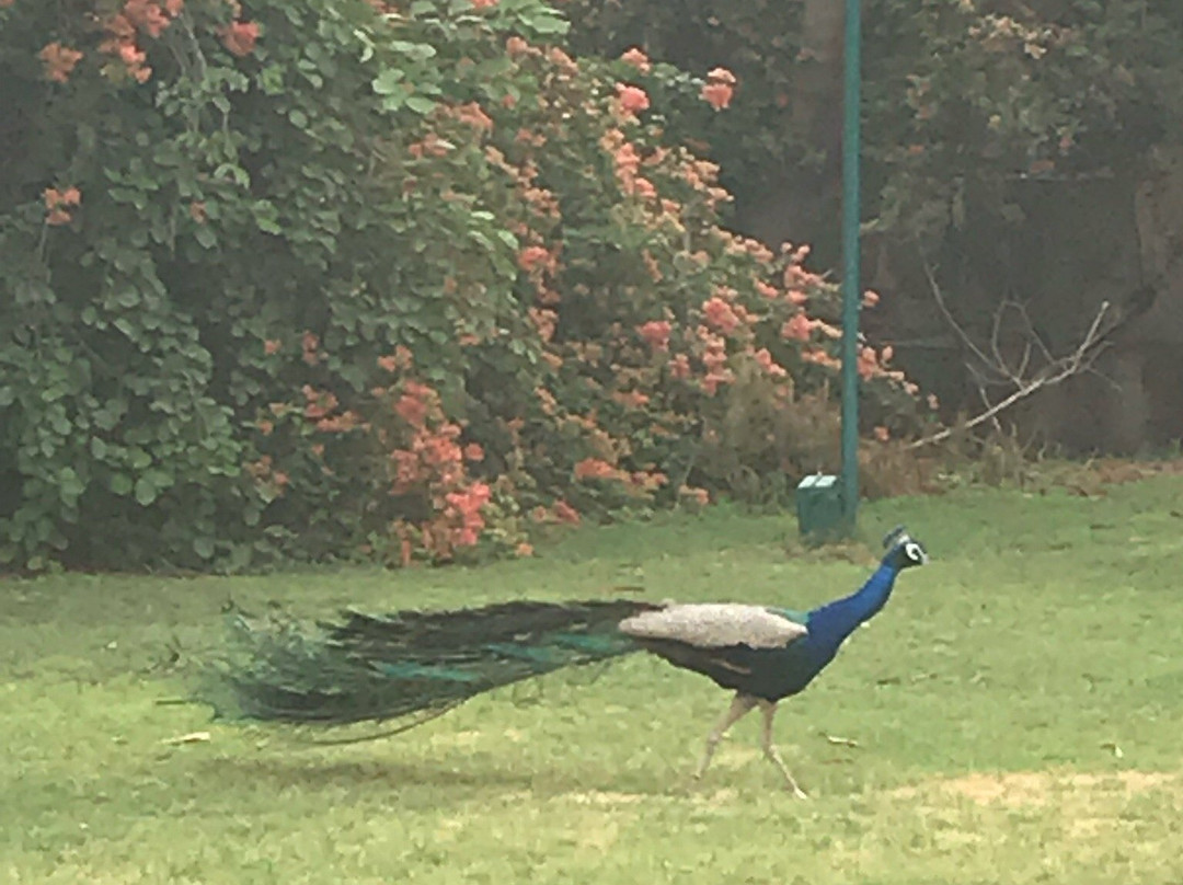 Sonis Yog & Health-斋蒲尔必去景点