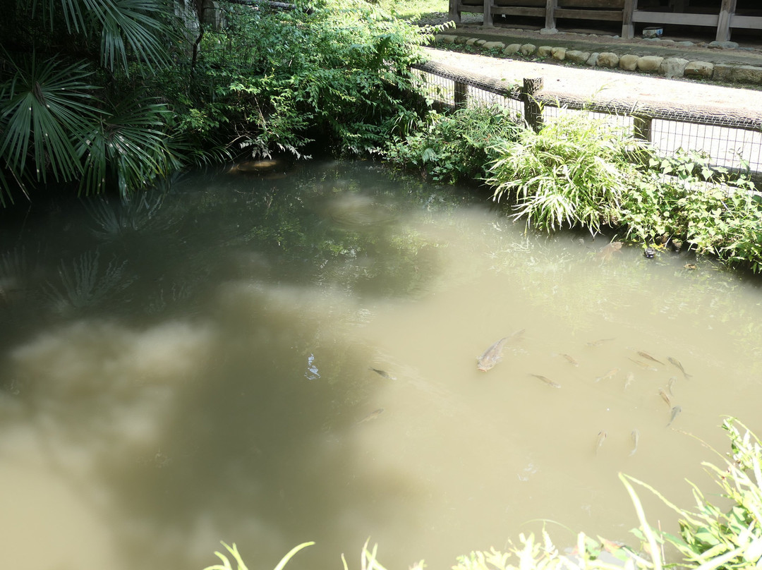 Daihigan-ji Temple景点图片