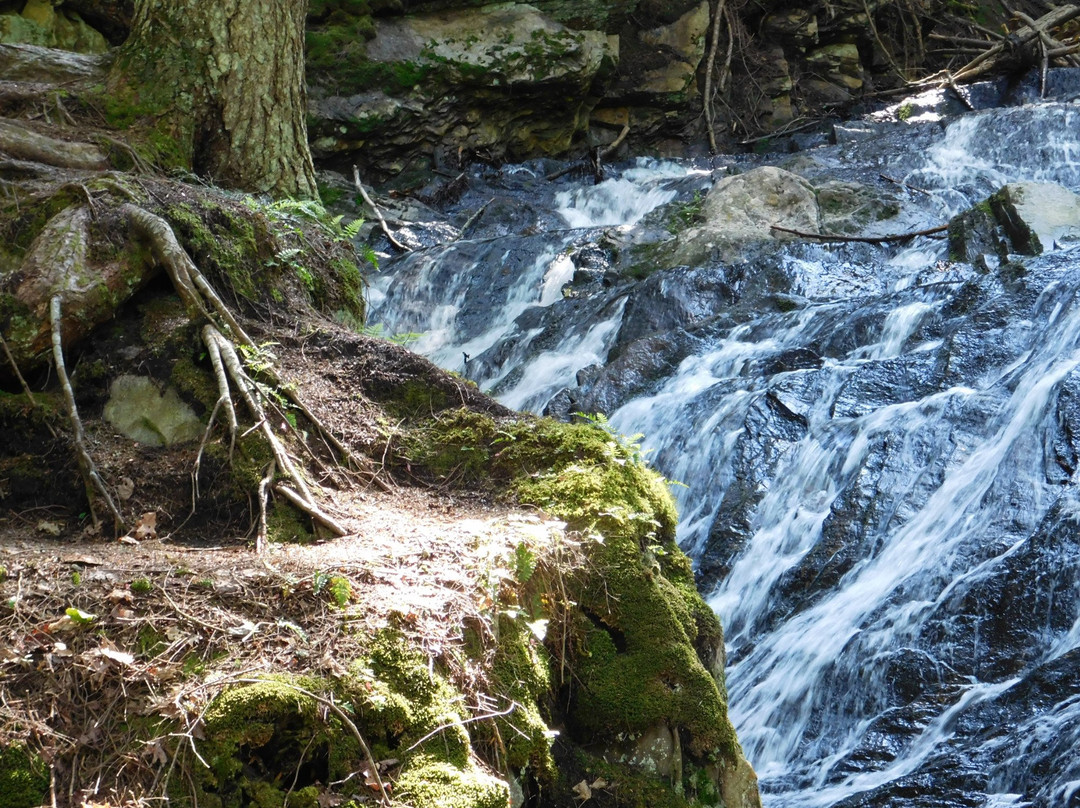 Thundering Brook Falls Trail-基灵顿必去景点