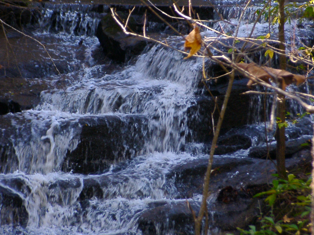 Anne Springs Close Greenway-米尔堡必去景点