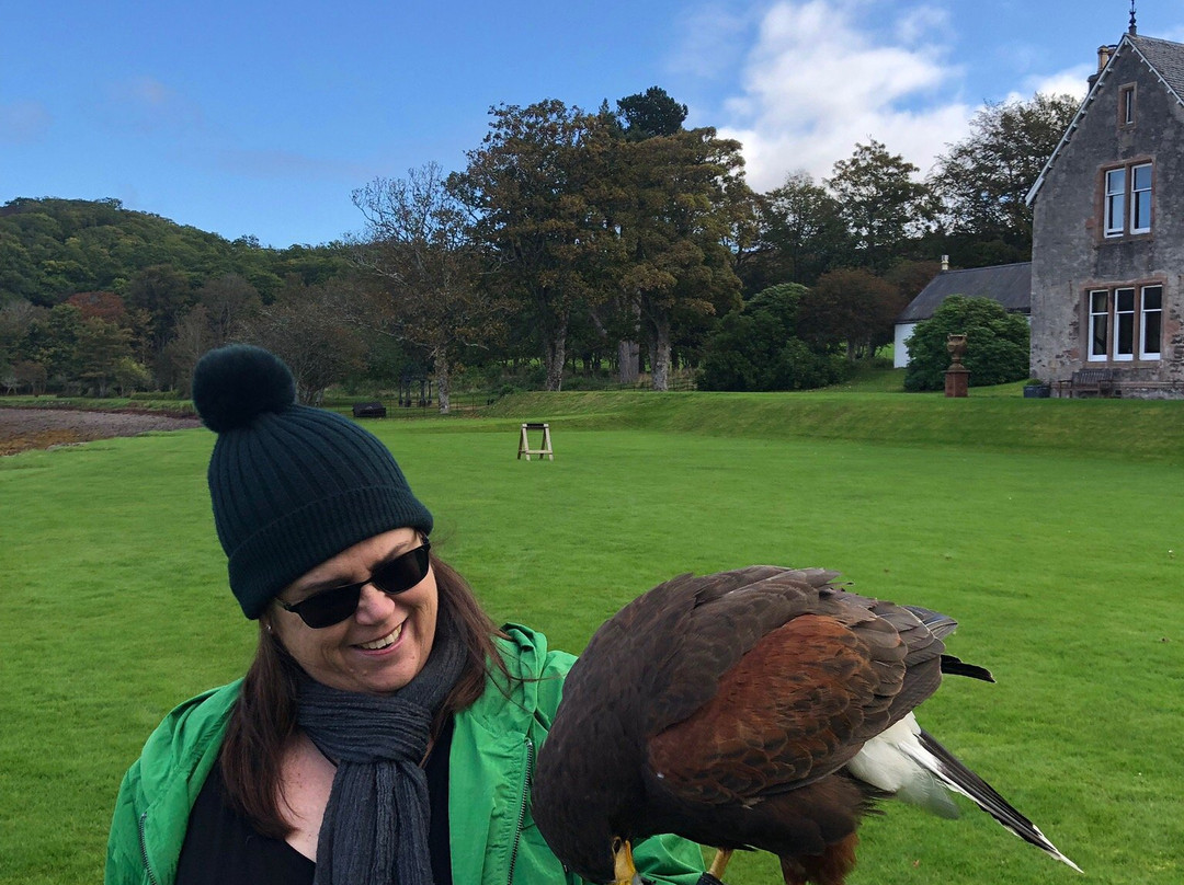 Shieldaig Falconry景点图片