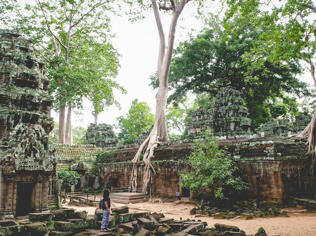 See Siem Reap Tours景点图片