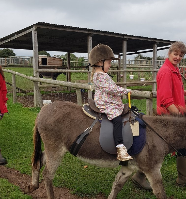 Scotty's Donkeys and Animal Park景点图片