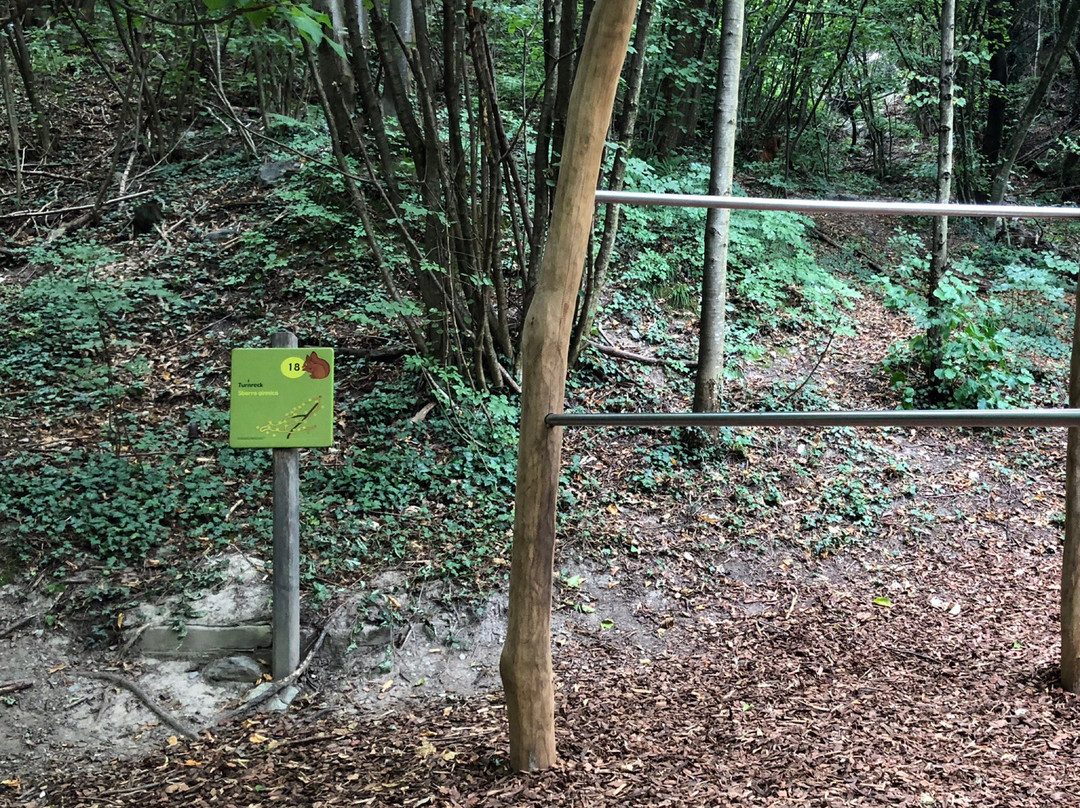 Natur- und Erlebnisweg Marling景点图片