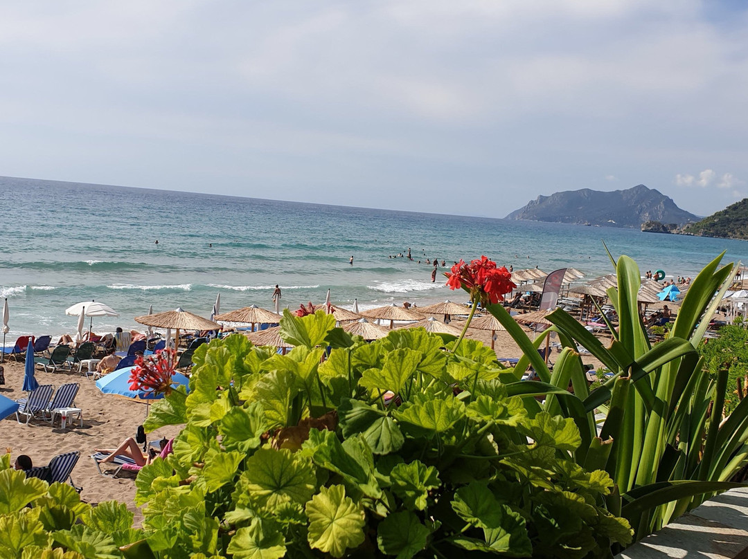 Dandidis Seaside Pension主图