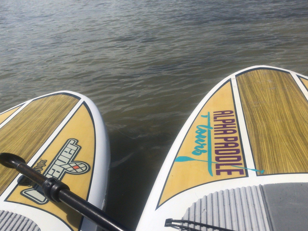 Alphakite Kitesurf School-Progreso必去景点