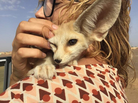 Tarla Tours-卡萨布兰卡必去景点