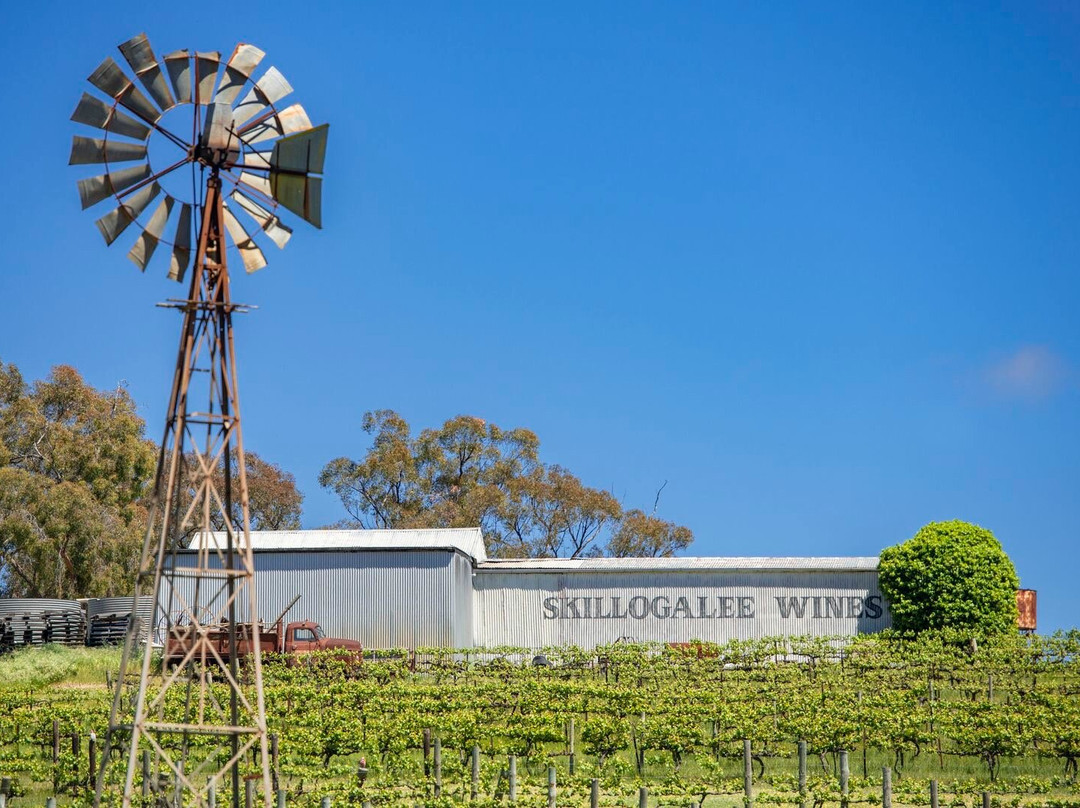 Skillogalee Wines