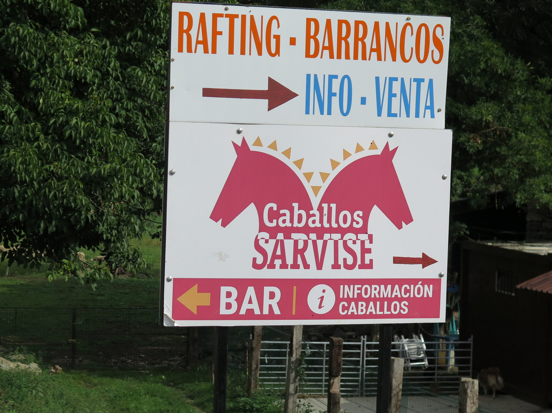 Caballos Sarvise景点图片