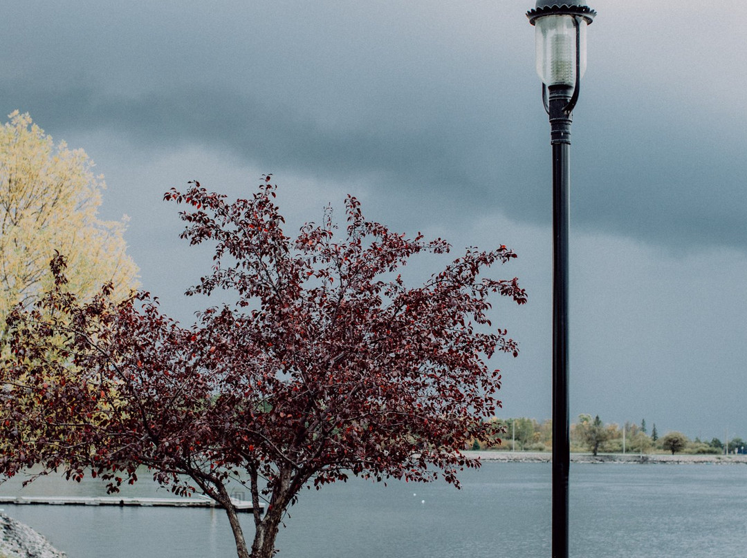 The Bayview Motel主图