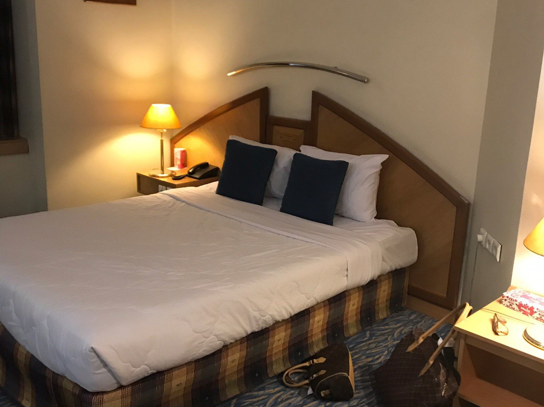 帕尔斯国际大酒店主图