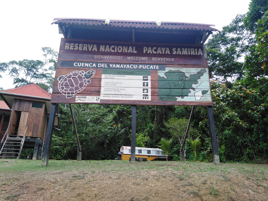 Pacaya Samiria National Reserve景点图片