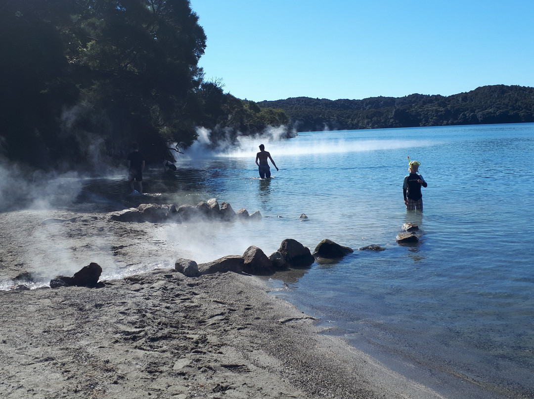 Lake Tarawera's Hot Water Beach景点图片