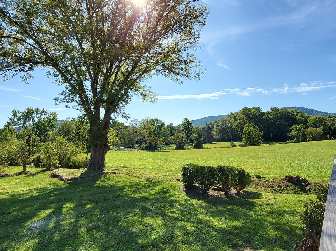 The White Moose Inn主图