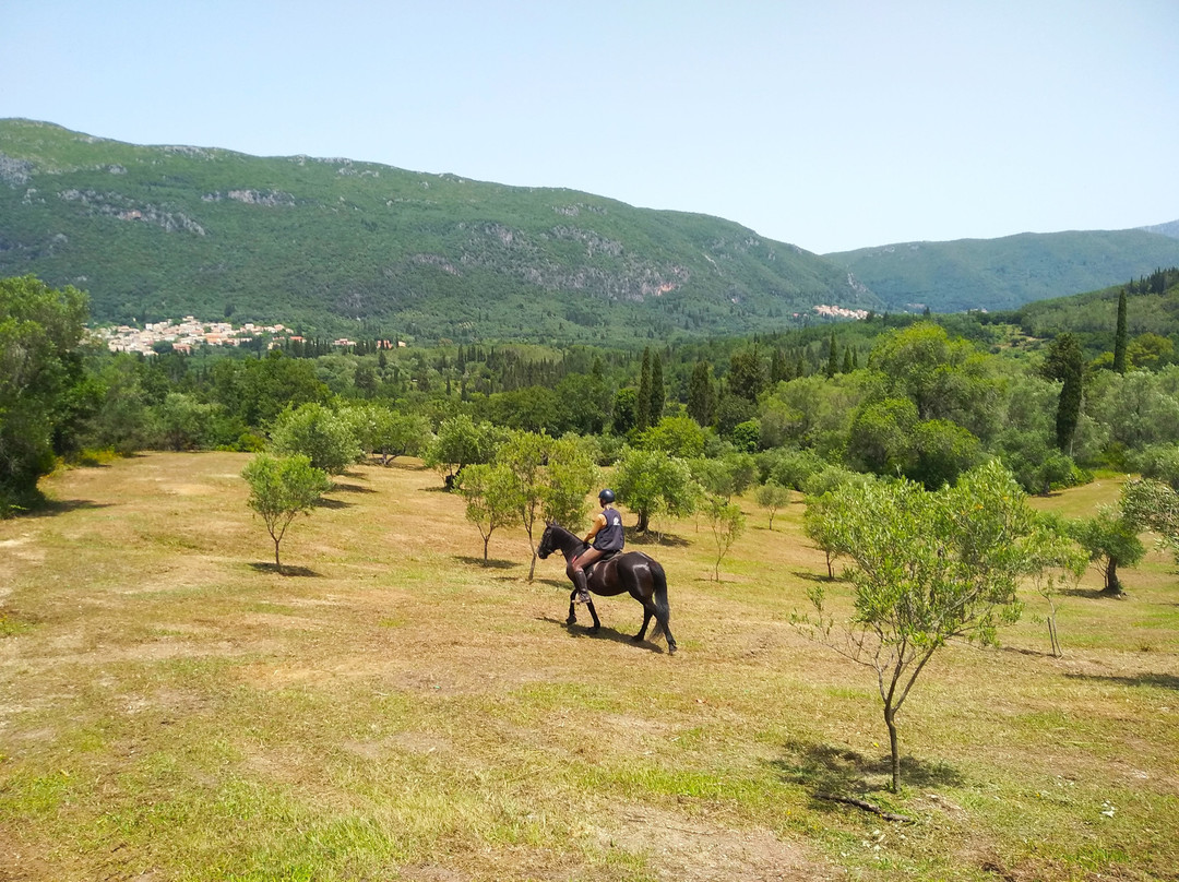 Carolina's Holiday Horses-Skripero必去景点