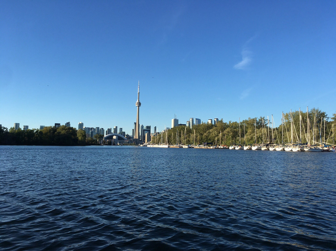 Toronto Harbour Tours景点图片