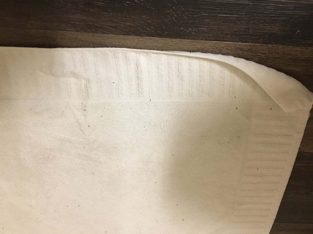 Earthbox Inn & Spa主图