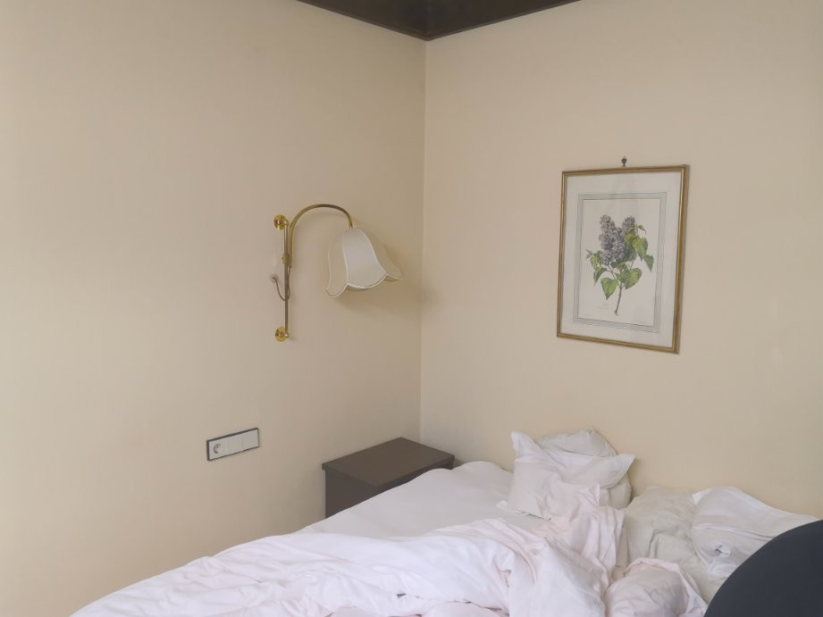 圣彼得迪特里希霍夫酒店主图