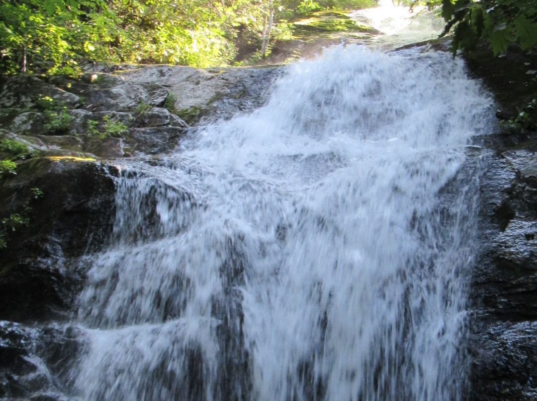 Walker Falls-Barnardsville必去景点