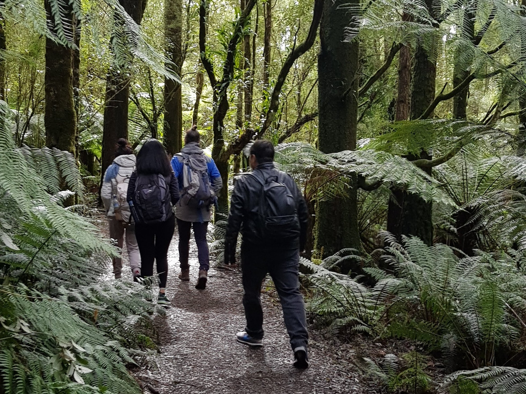 Hike & Seek-墨尔本必去景点