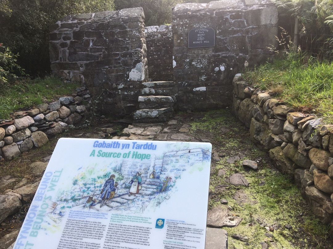 St. Beuno's Well