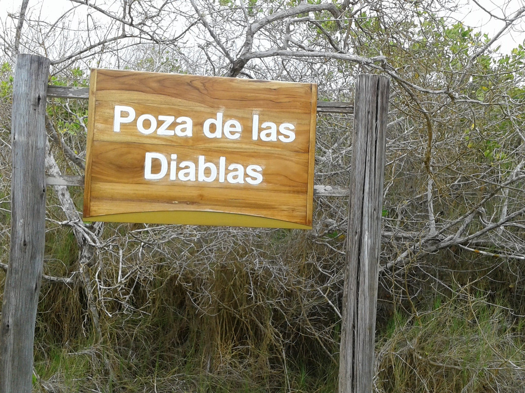 Laguna de los Diablos景点图片