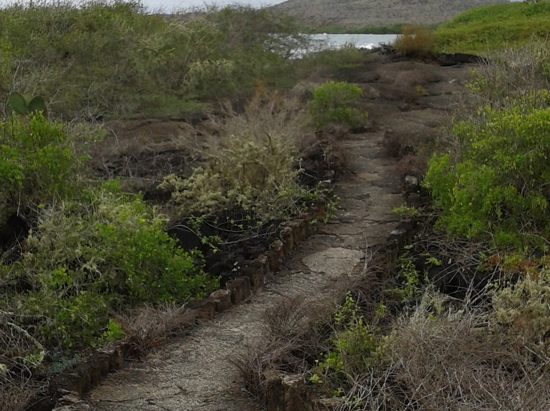 El Túnel del Estero-维里亚米尔港必去景点
