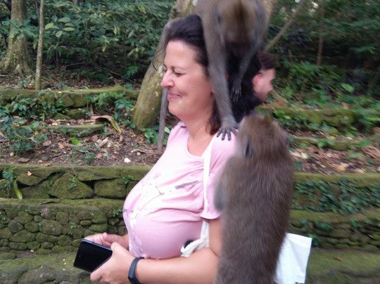 Zero Gravity Diving-沙努尔必去景点