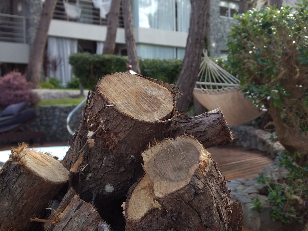 Runa Moraira Apart & Spa主图