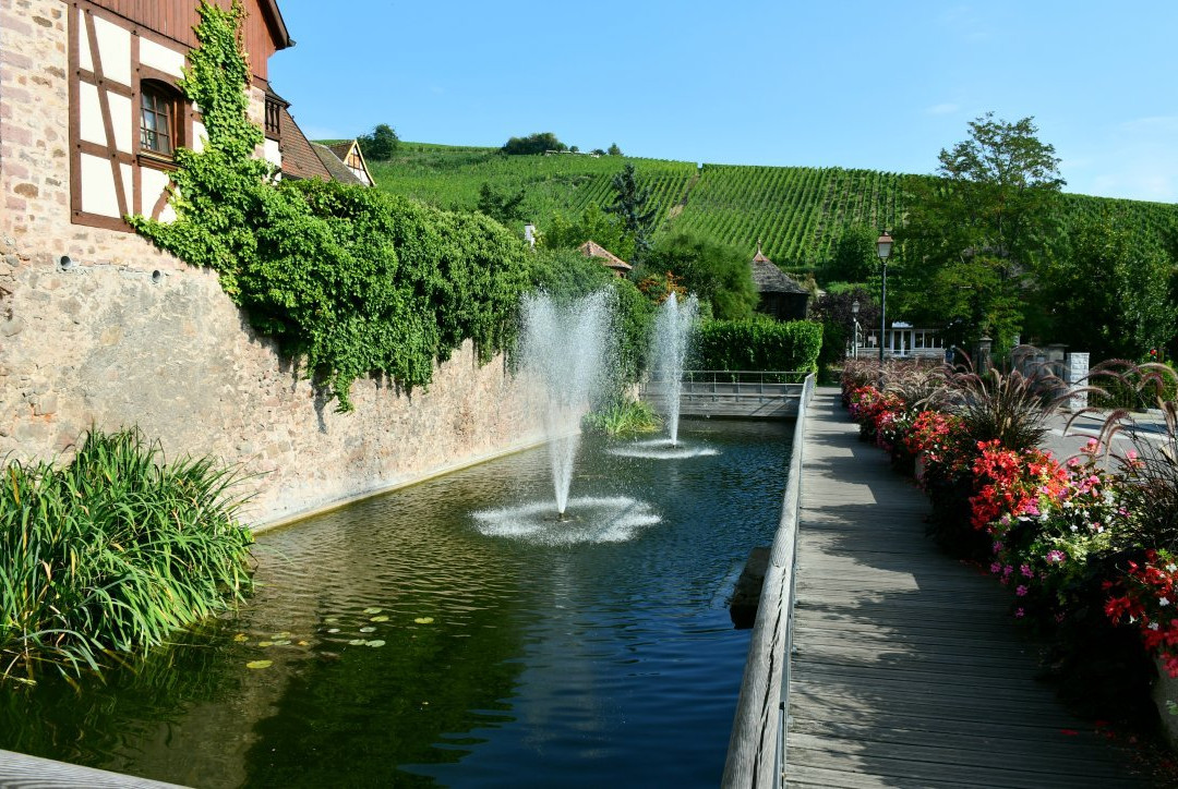 Office de Tourisme de Ribeauvillé et Riquewihr景点图片