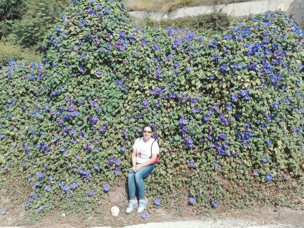 Parque del Salado景点图片