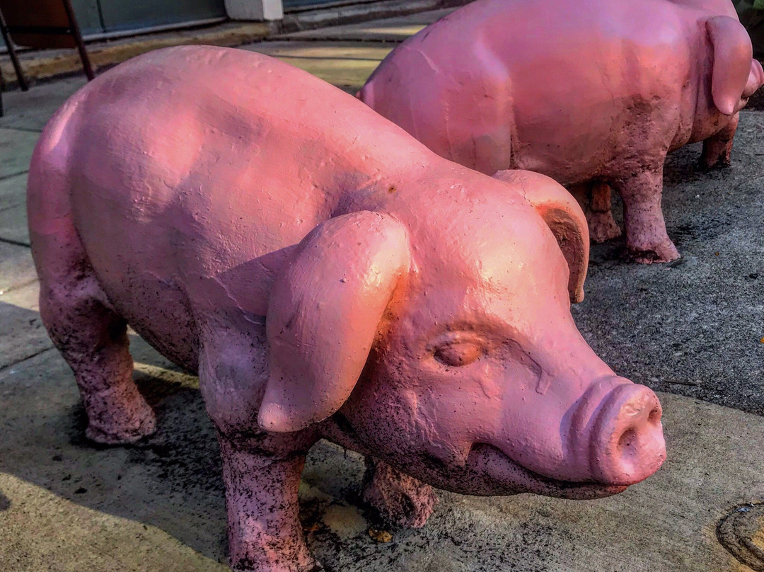 Over-The-Rhine-辛辛那提必去景点