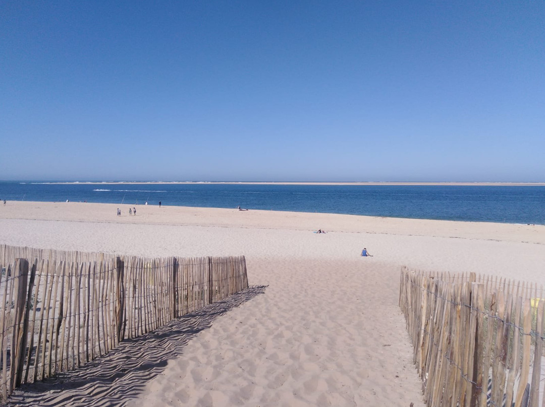 Plage du Petit Nice景点图片