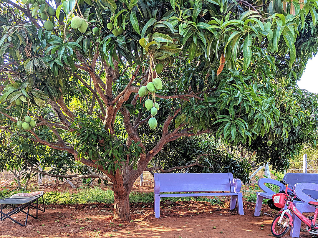 Avalnatham旅游攻略图片