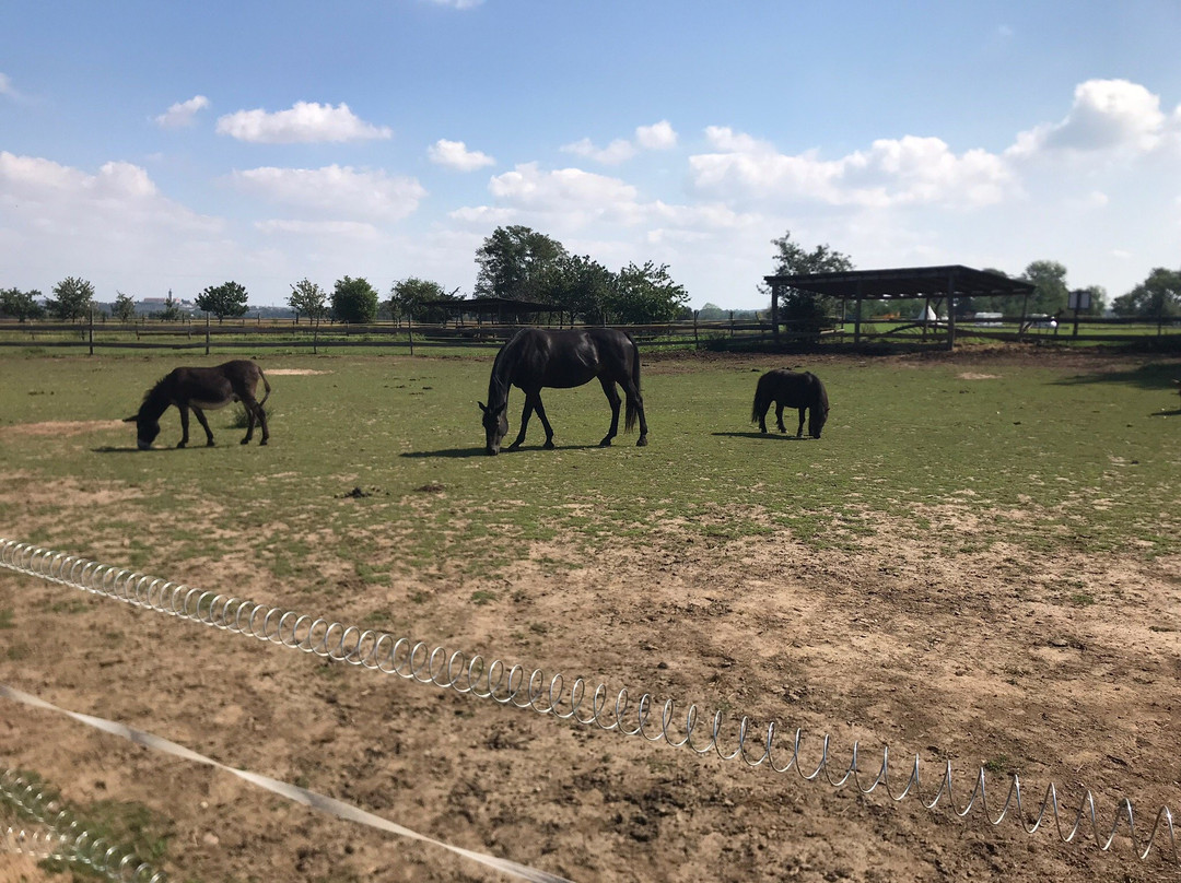 Zoopark Zelcin景点图片