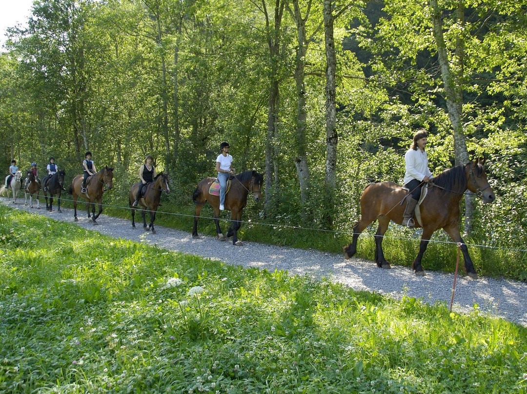 Manège De Château-d'oex