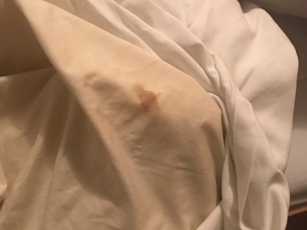 Hotel - Gasthof zur Post主图