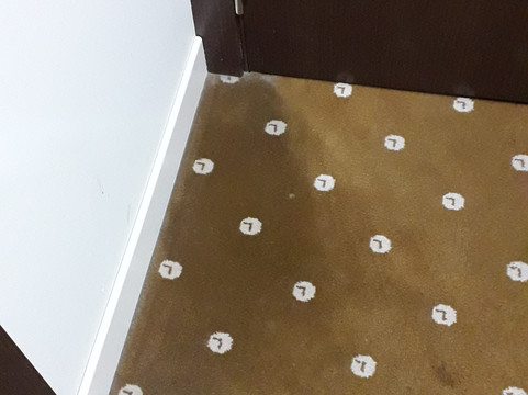 阿拉梅达中心酒店主图