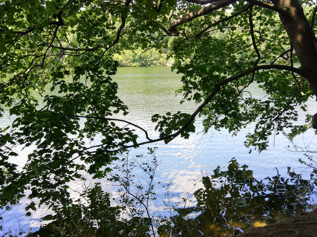 拉特湖景点图片