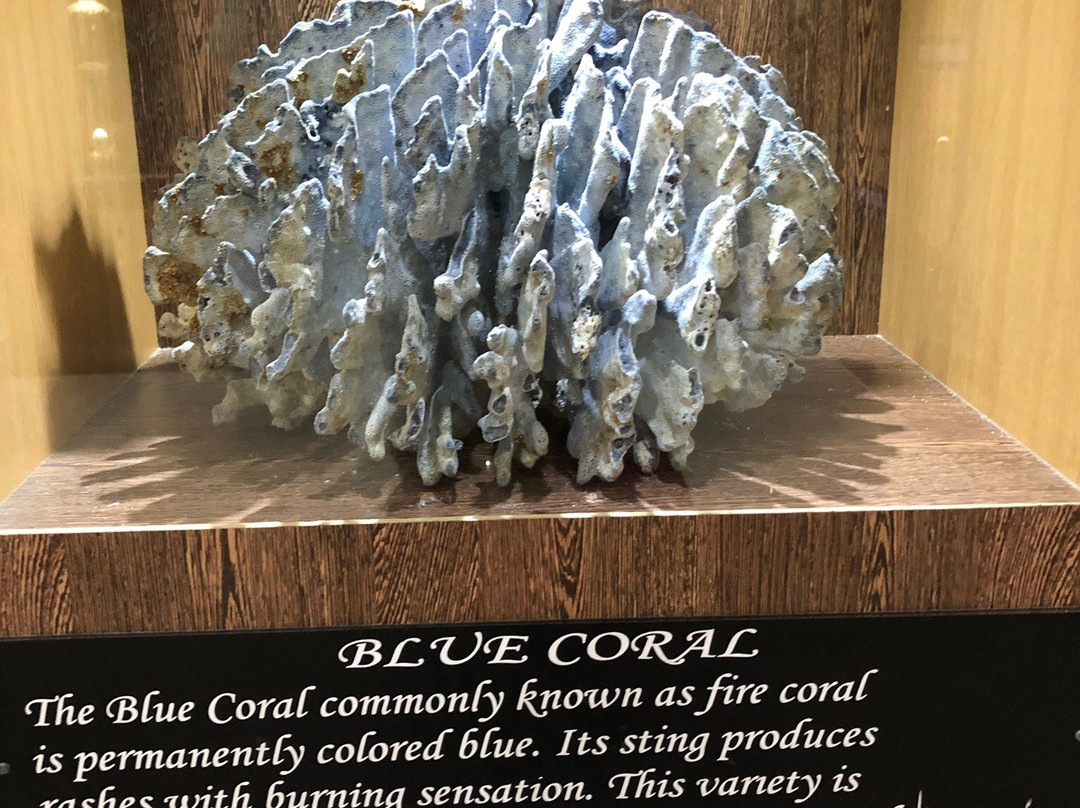 Marina Park and Aquarium-布莱尔港必去景点